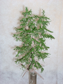 baum1