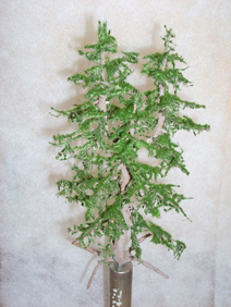baum2